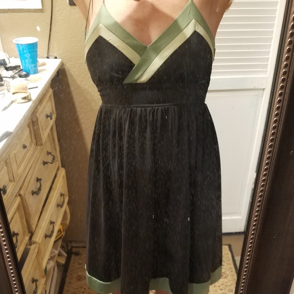 Alyn Paige NY Dress
